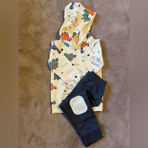 Dinosaur print hoodie top + pant sweatsuit.